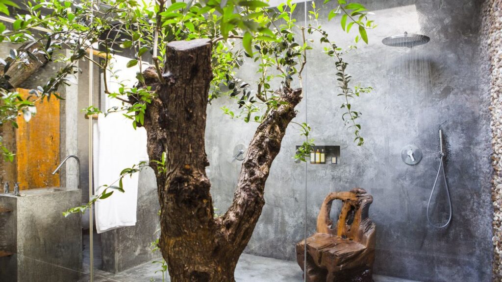 areias do seixo - quarto tree - natureza